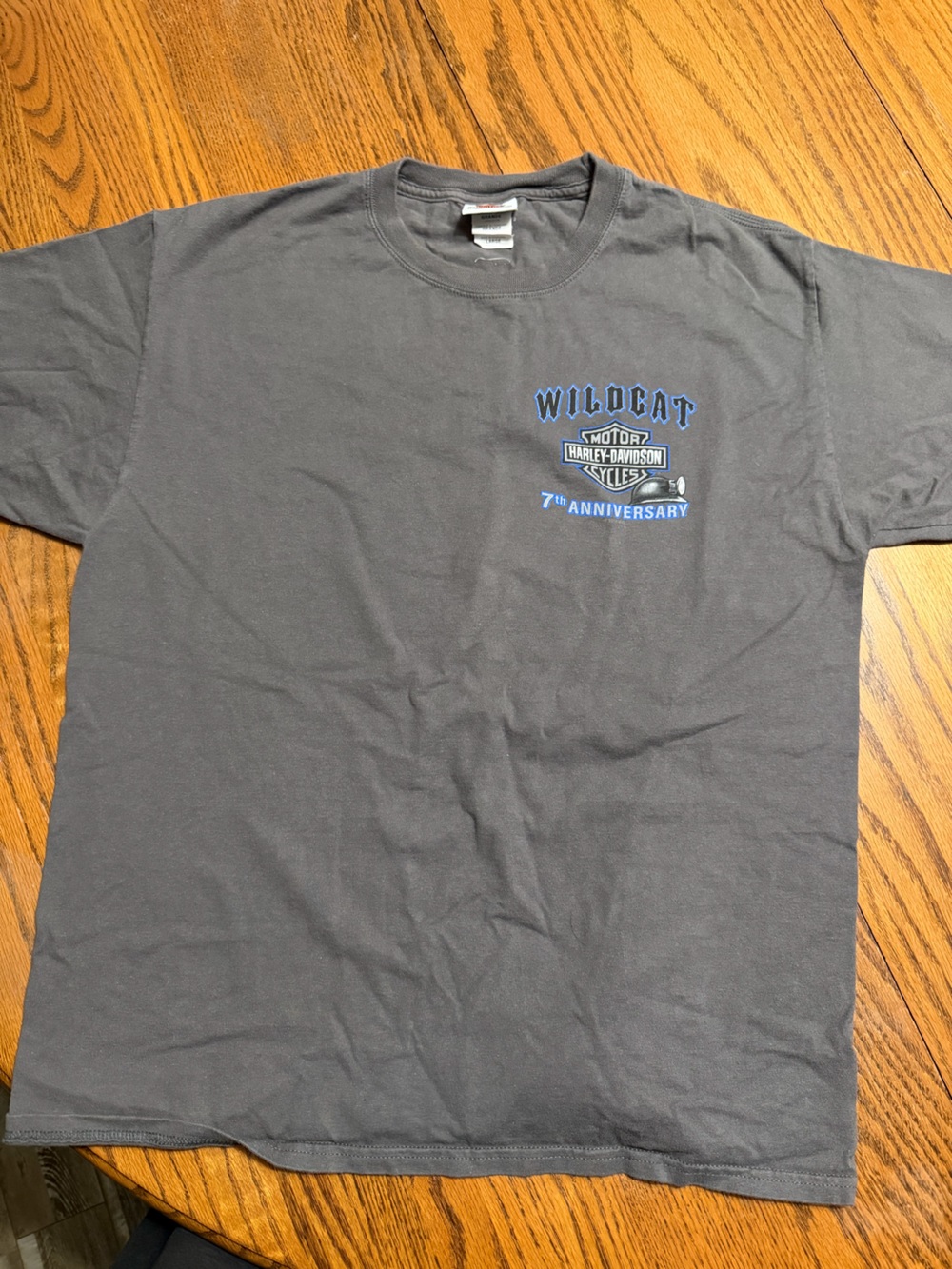 Harley-Davidson Black Short Sleeve Tee with Blue Accent Graphic
